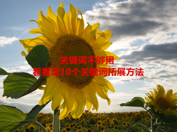 關(guān)鍵詞不夠用，看看這10個(gè)關(guān)鍵詞拓展方法！