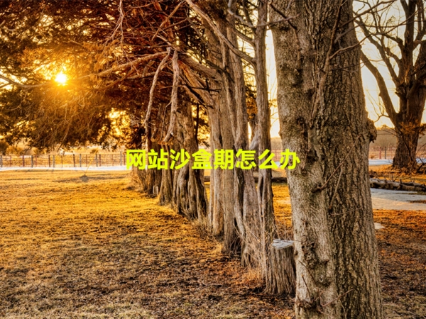 網(wǎng)站沙盒期怎么辦？